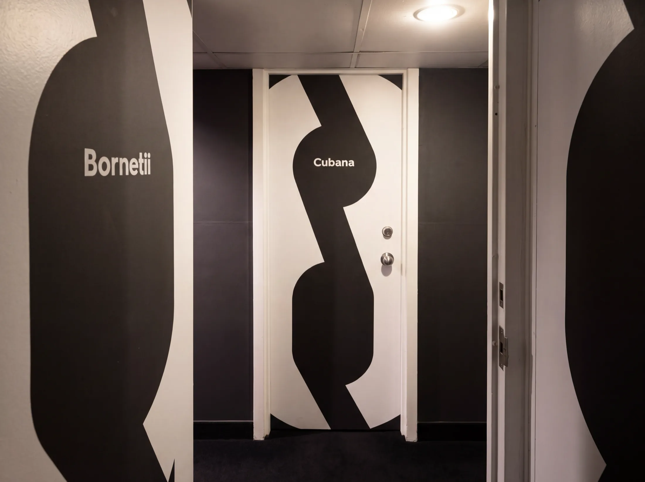 A cabin corridor on board, each door and wall carrying an oversized black water-lily silhouette with a species name set in white across it: Bornetii on the wall, Cubana on the door.